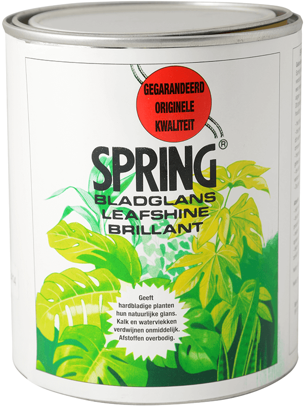 Insecticide Et Brillant