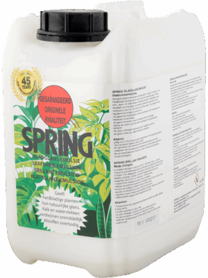 Insecticide Et Brillant