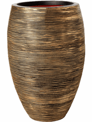 Capi Roots Rib
