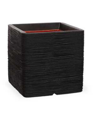 Capi Roots Rib