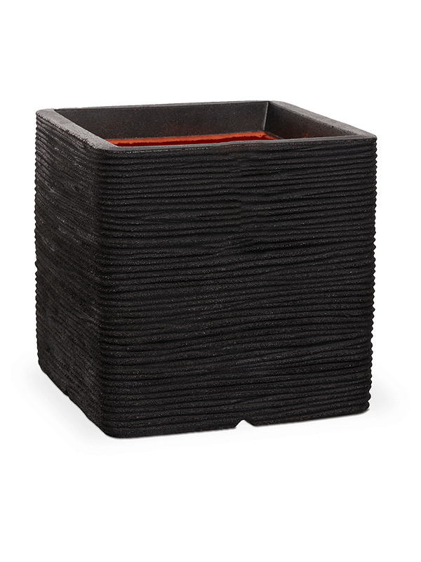 Capi Roots Rib