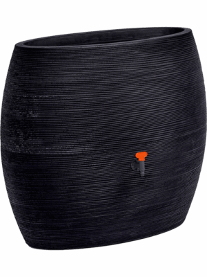 Capi Roots Rib