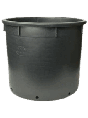 Pot de culture