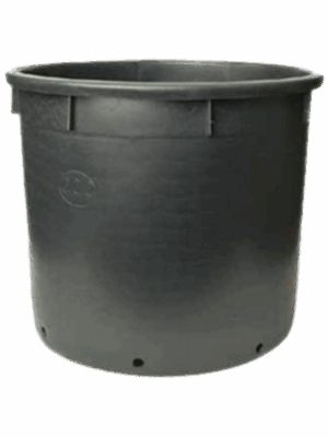 Pot de culture