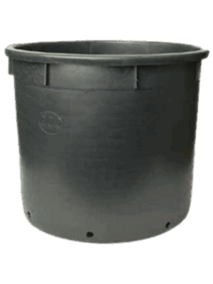 Pot de culture