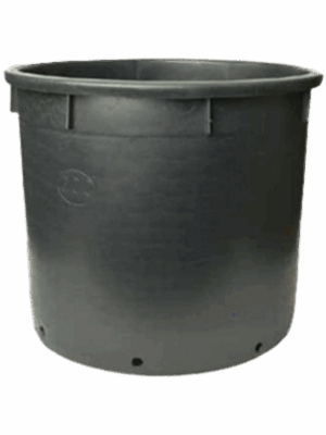 Pot de culture