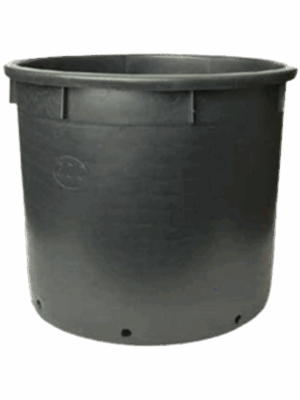 Pot de culture