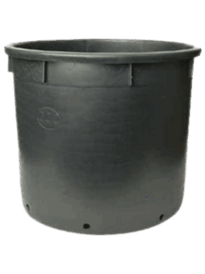 Pot de culture