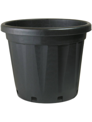 Pot De Culture