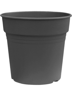 Pot De Culture