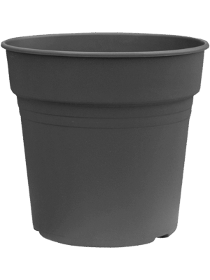 Pot De Culture