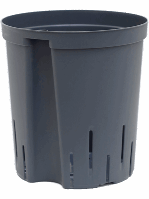 Pot De Culture