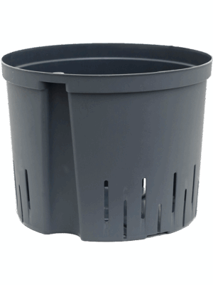 Pot De Culture