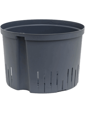 Pot De Culture
