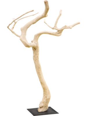 Decowood