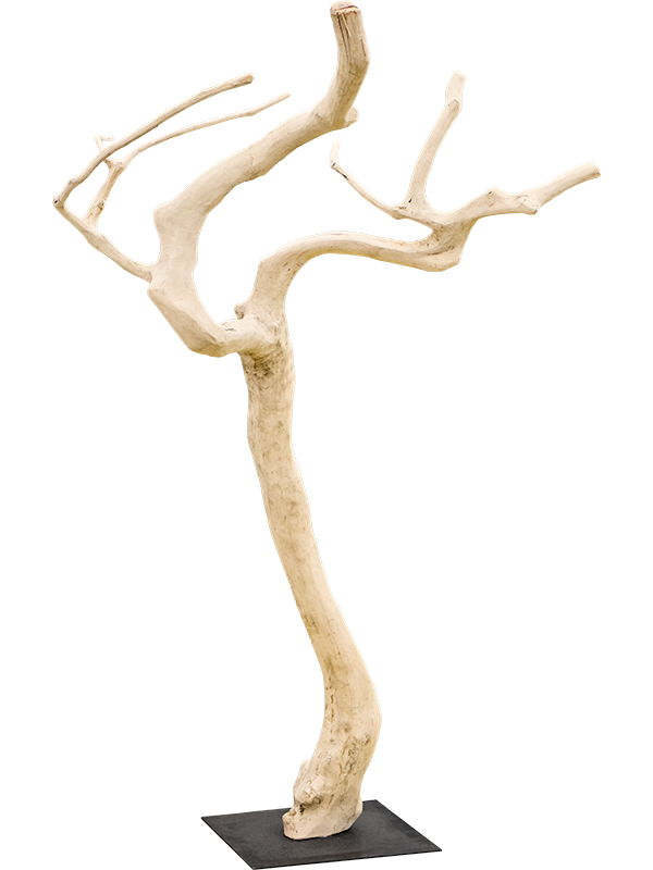 Decowood