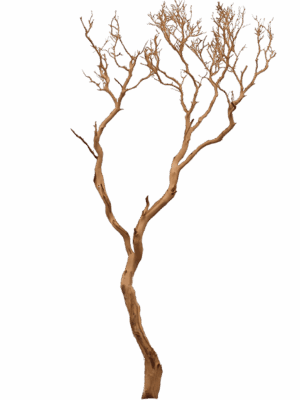 Decowood