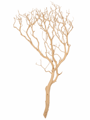 Decowood