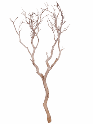 Decowood