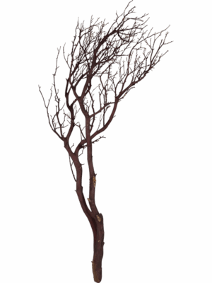 Decowood