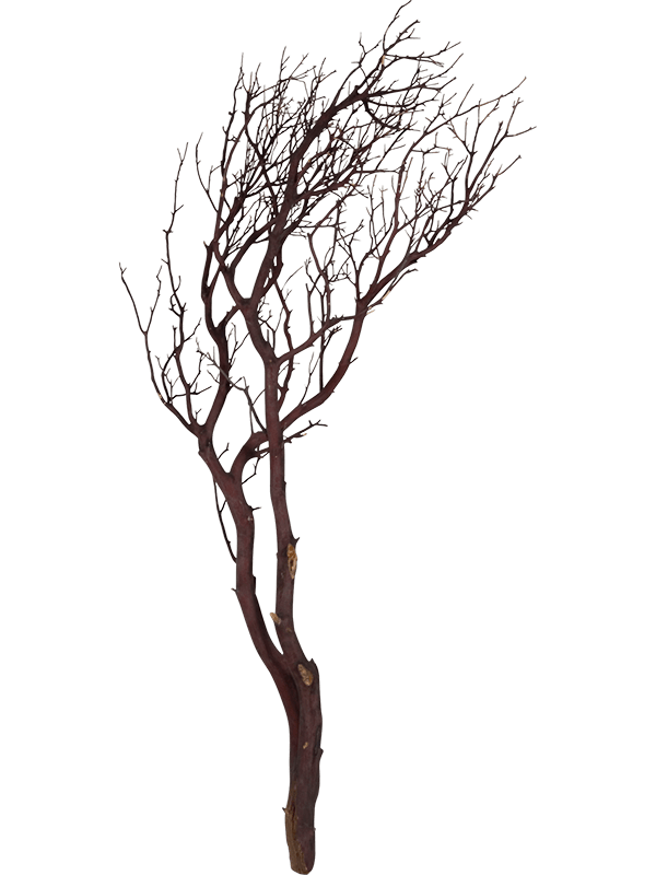 Decowood