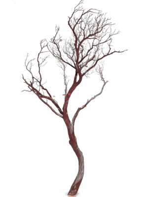 Decowood