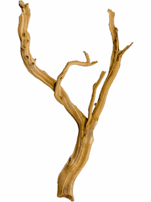 Decowood