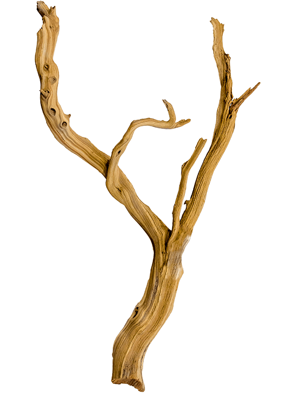 Decowood