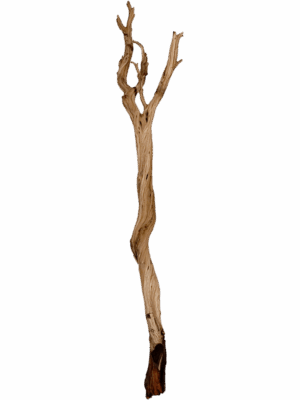 Decowood