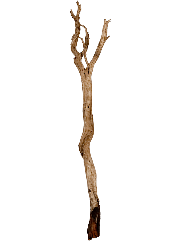 Decowood