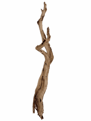 Decowood