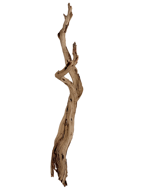 Decowood