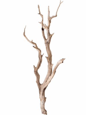Decowood