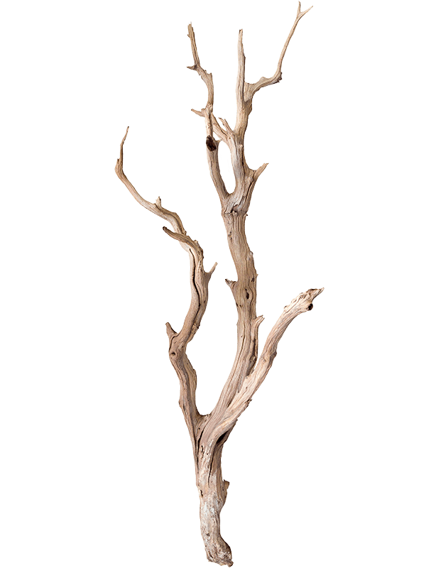 Decowood