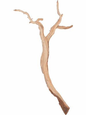 Decowood