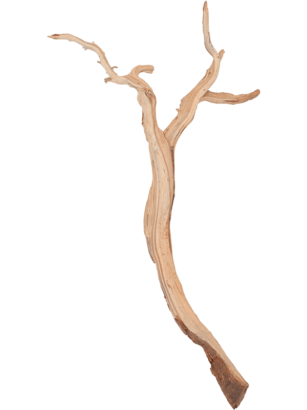 Decowood