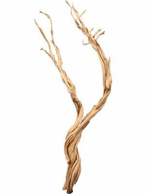 Decowood
