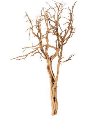 Decowood