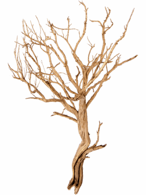 Decowood