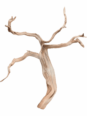 Decowood