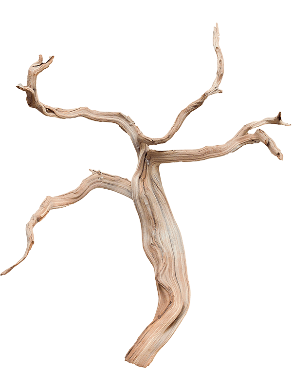 Decowood