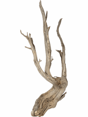 Decowood