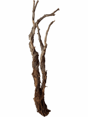Decowood
