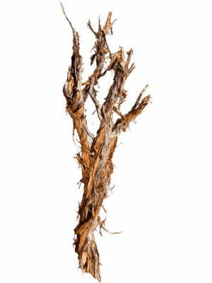 Decowood