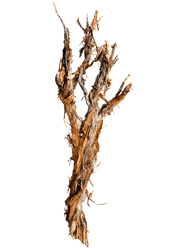 Decowood
