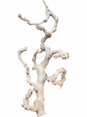 Decowood
