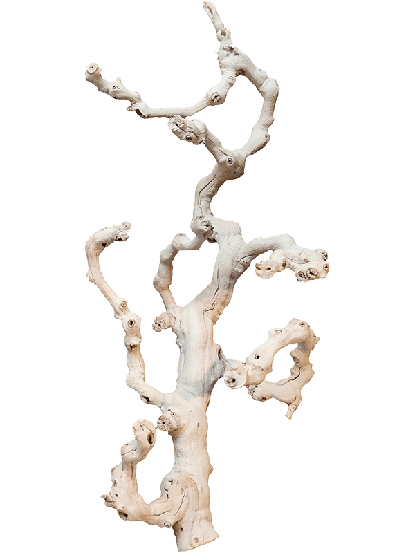 Decowood