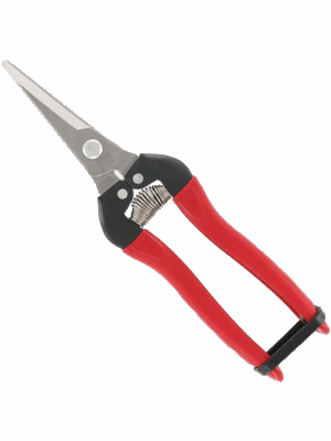 Sécateur