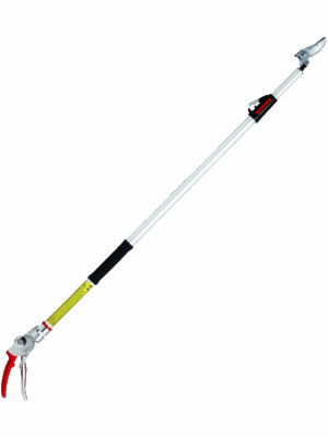 Long Reach Shear