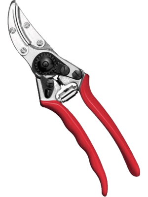 Sécateur